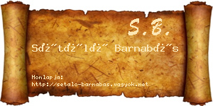 Sétáló Barnabás névjegykártya